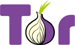 Dark Market Onions Understanding Their Function in 2025