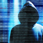 Exploring Nexus Onion and Trends in Darknet Markets